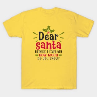 Dear santa before i explain T-Shirt